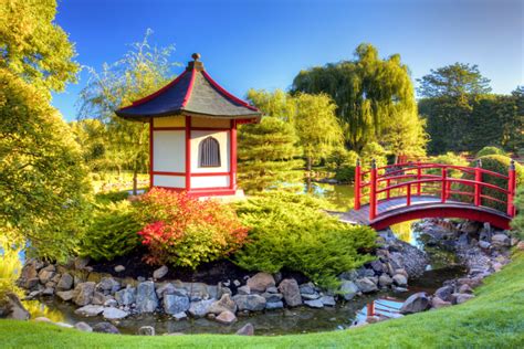 35 Ideas To Make A Bridge For A Beautiful Back Garden Pond