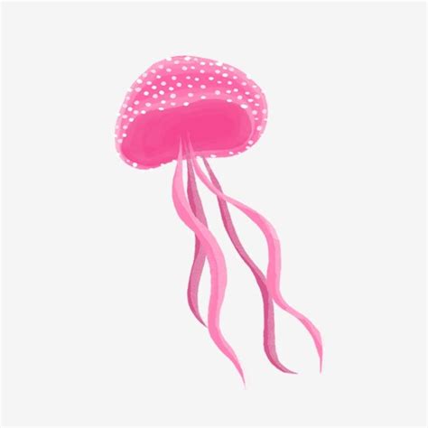Gambar Ubur Ubur Merah Jambu Cantik Tangan Ditarik, Ubur Ubur, Hidupan