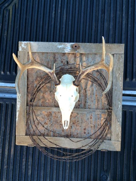 Firstly, using a scalpel, i cut. My first European skull mount I did of my first white tail ...