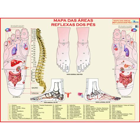 Mapa Das Áreas Reflexas Dos Pés Reflexologia Gigante Largura 117