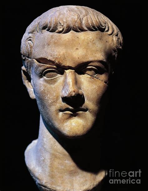 Marble Bust Of Gaius Julius Caesar Germanicus Also Known As Caligula