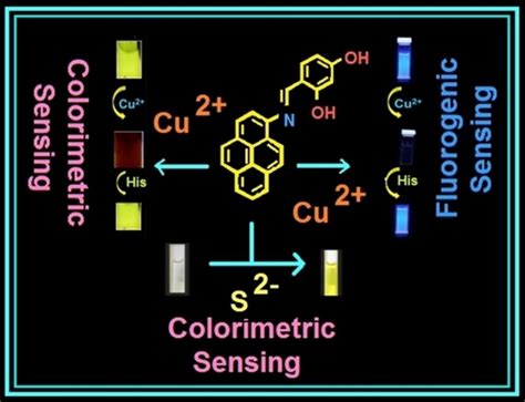 Pyrenebased Schiff Base As Selective Chemosensor For Copper Ii And Sulfide Ions Dalbera