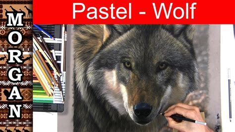 Pastel Pencil Drawing Panpastels Wolf Art Lesson Jason Morgan