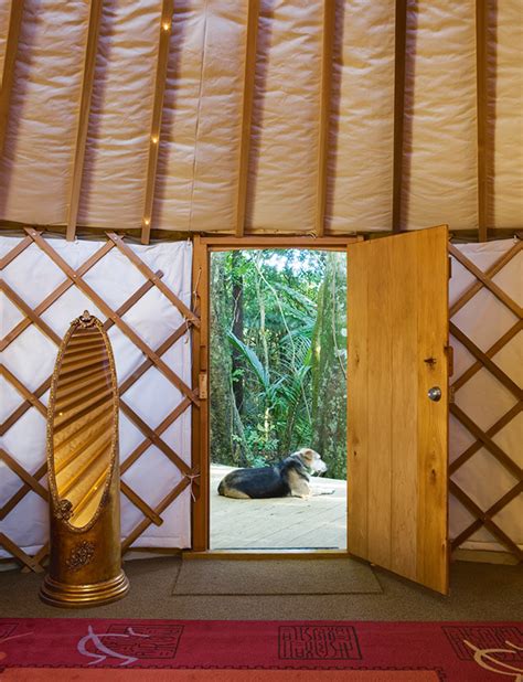 The Ancient Art Of Glamping Why Kiwis Are Returning Their Camping