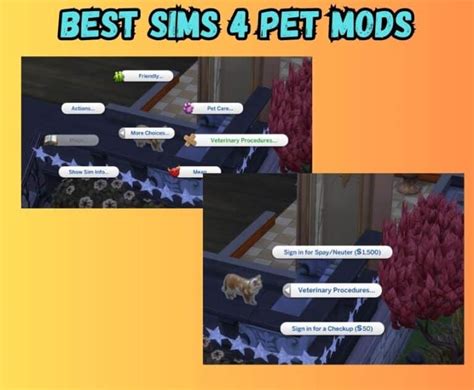 67 Must Have Sims 4 Pet Mods 2023 Create Realistic Pets And Better