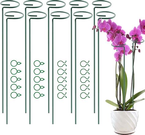 Potwpot Plant Support Stakes 10pcs 40cm Single Stem Plant Supports For