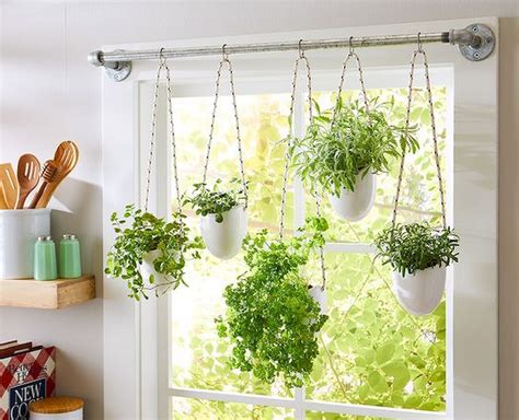 20 Indoor Window Hanging Planters