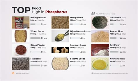 Top Food High In Phosphorus