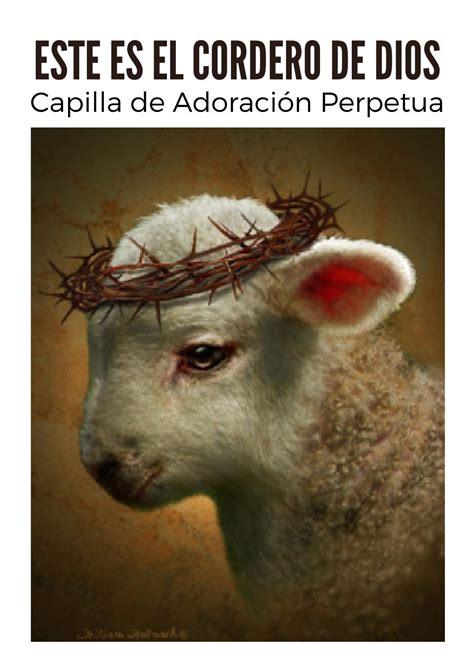 Este Es El Cordero De Dios By Parroquia Sagrada Familia Issuu