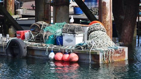 Guernsey Uk Fishing Deal Suspension Subject Of Judicial Review Bbc News
