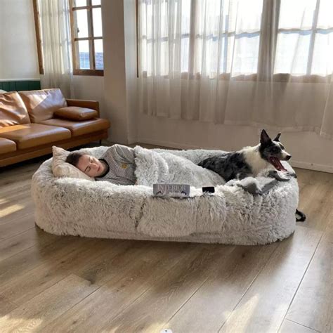 Dog Bed For Human 50 Off Human Size Dog Bed Cerymium®