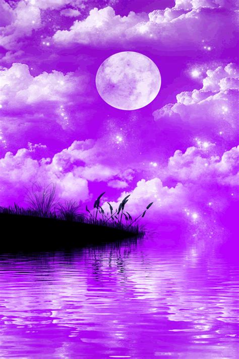 Purple Night Purple Sky Beautiful Moon Scenery