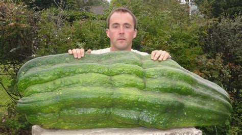Giant Veg Growers Take Their Talents To The Usa Itv News Wales