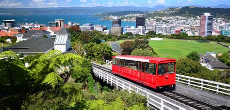 Top 10 Things To Do In Wellington The Road Trip New Zealand