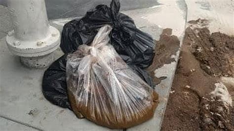 20 Pounds Of Human Poop Found On San Francisco Sidewalk San Luis