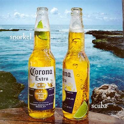 Corona Beer Mexico Brand Wallpapersafari Fascinating Inspiring
