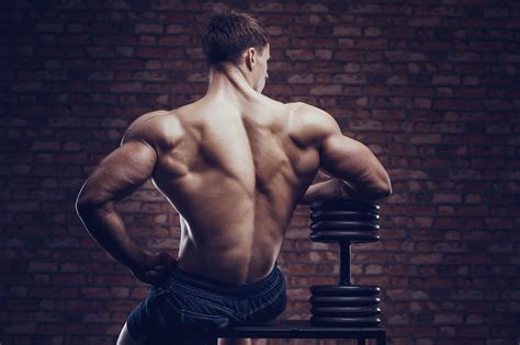 How To Train Your Back Muscles Exercises And Workout Strengthlog