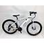 48V 750W High Power 26235 Inch Fat Tire Adult Electric Mountain Bikes