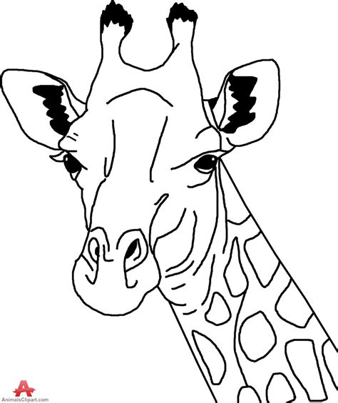 Outline Giraffe Drawing Head Clip Art Library