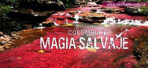 Colombia Magia Salvaje Decibelesfm