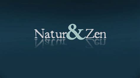 naturandzen votre salon de massage naturiste à paris youtube