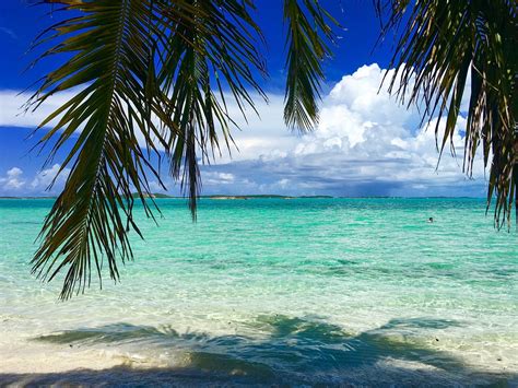 Bahamas Beach Caribbean - Free photo on Pixabay - Pixabay