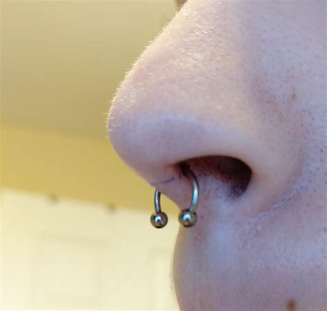 Just Got My Septum Done Yesterday Does My Septum Piercing Hang Too Low Or Is The Ring Too Big