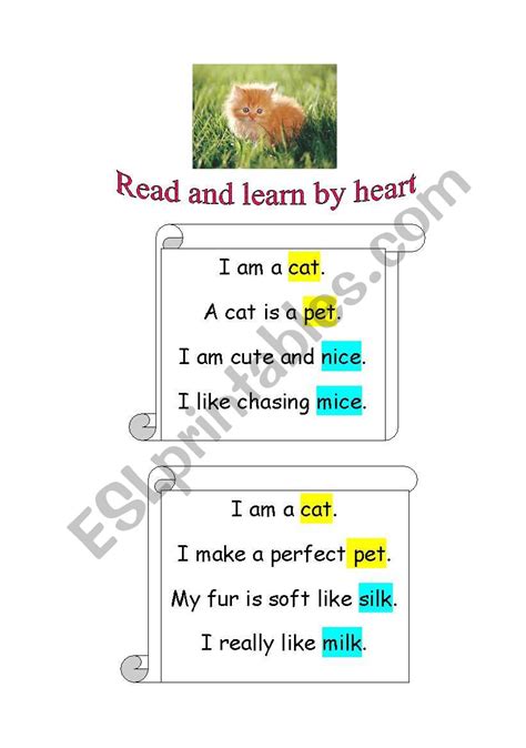 I Am A Cat Rhymes Esl Worksheet By Chud