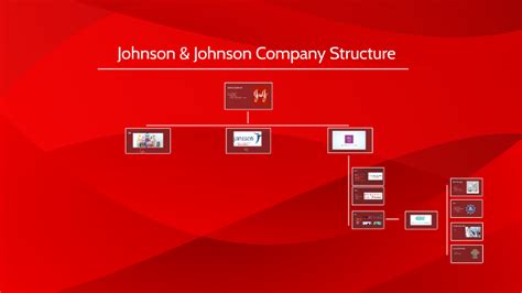 Johnson And Johnson Organizational Structure Felicitro