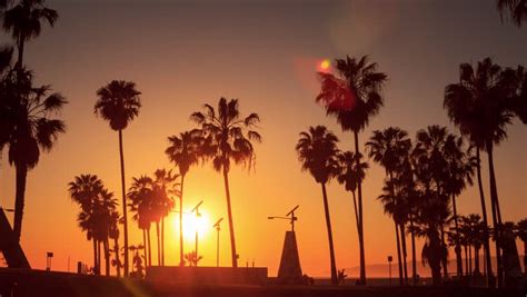 Silhouettes Of Palm Trees Against Sunset At Venice Beach California