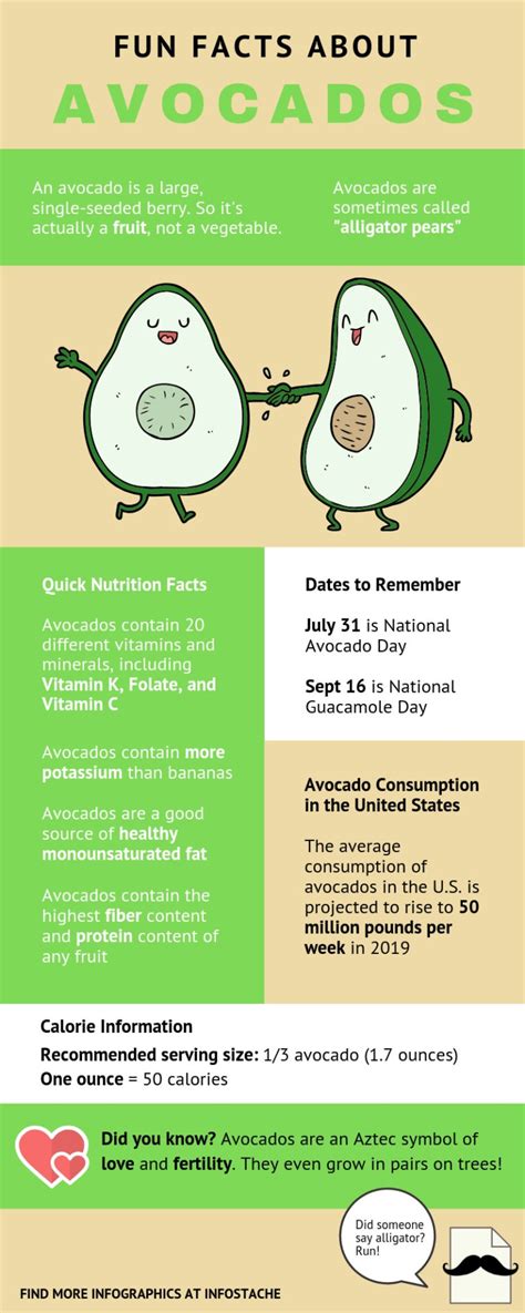 Fun Facts About Avocados Infographic Infostache