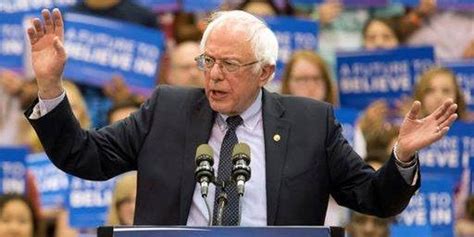 Bernie Sanders Faces Difficult Decision Fox News Video