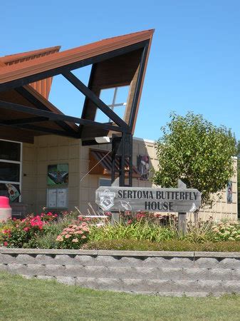 The butterfly house was full of butterflies!! Sertoma Butterfly House & Marine Cove - Sioux Falls ...