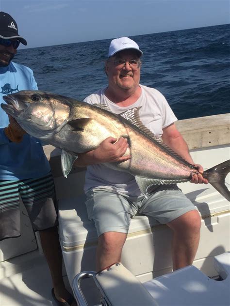 Big Amberjack Caught Fishing Headquarters