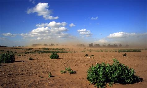 Earth Has Lost A Third Of Arable Land In Past 40 Years Scientists Say