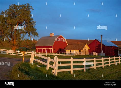 The Palouse Whitman County Wa Red Barn And Farm Scene In Evening
