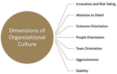 These phrases are tossed around a lot in discussions of what makes for a positive—or negative—place but what is organizational culture and why does it matter? What is Organizational Culture? definition, dimensions and ...