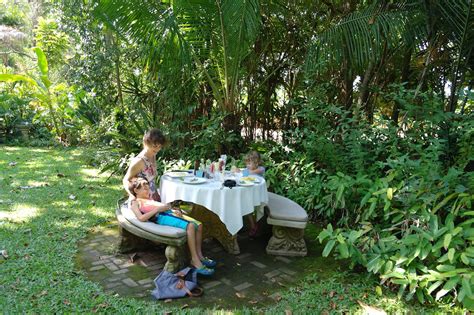 Hemingway started the novel in 1946 and worked on the manuscript for the next 15 years, during which time he also wrote the old man and the sea, the dangerous summer, a moveable feast. Garden of Eden Tea Garden, Hoedspruit - A little piece of ...