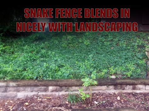 Snake Fence Barrier Snake Control Products