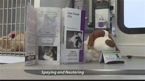 A 902 w pine st, po box 1610 , shelton, wa 98584 shelter helping to find loving homes for dogs, cats. Mobile Pet Spay And Neuter Ct - Animal Friends