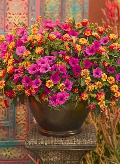 37 Beautiful Summer Container Garden Flowers Ideas Doitdecor