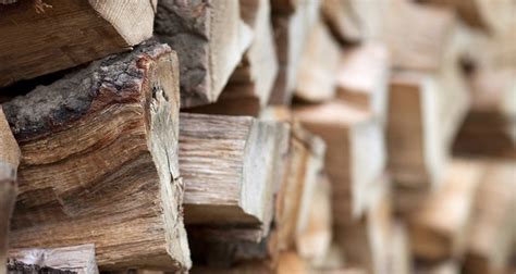 How To Season Birch Firewood