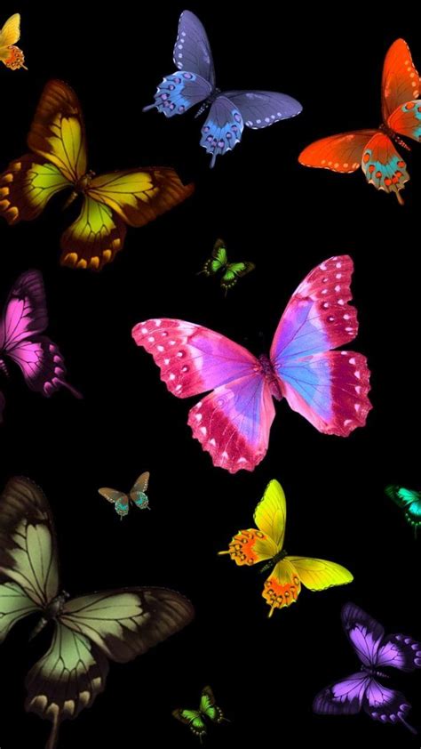 Colourfull Butterfly Mobile Wallpapers Wallpaper Cave