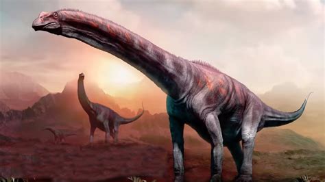 9 Of The Biggest Dinosaurs That Ever Lived Youtube