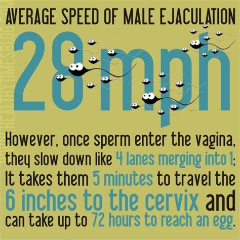 Fun Sex Facts