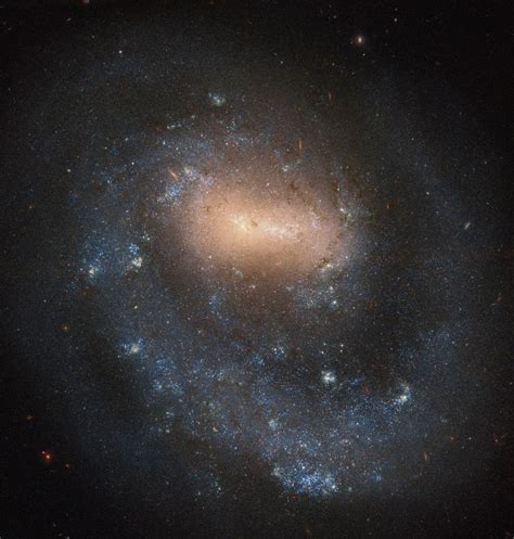 Ser en realidad una galaxia espiral barrada, con una barra. Hubble engancha una magnífica galaxia espiral barrada de ...