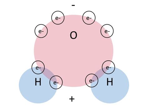 Polar Molecule Definition And Examples Video And Lesson Transcript