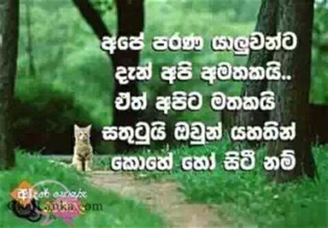 Adara wadan love city fb page. sinhala photo kiyaman