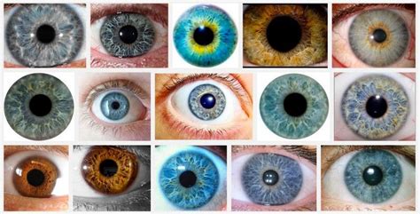 Structural Eye Color Is Amazing Eye Color Chart Eye Color Color