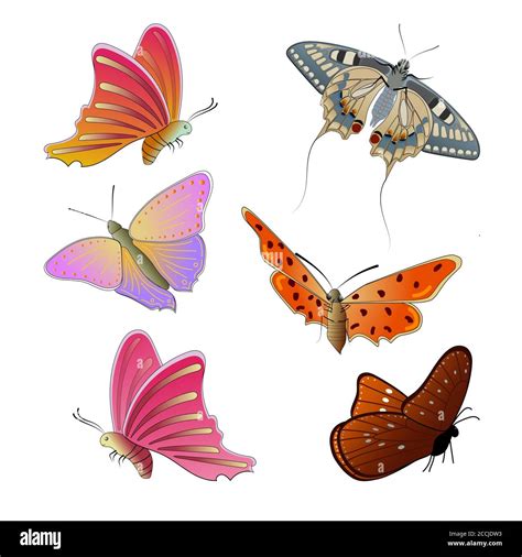 Set Of Colorful Butterflies Isolated On A White Background Flying